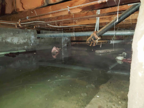 Best Commercial water damage restoration  in Yreka, CA
