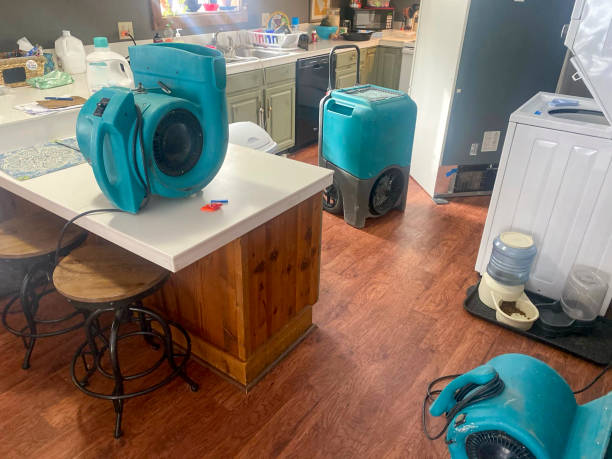 Best Water damage restoration company  in Yreka, CA