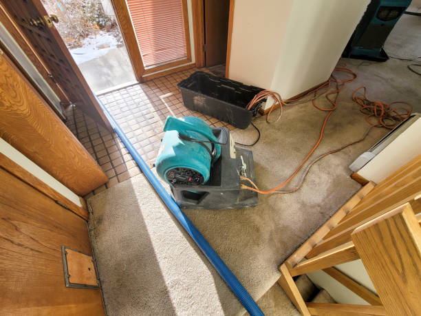 Best Flood damage cleanup  in Yreka, CA