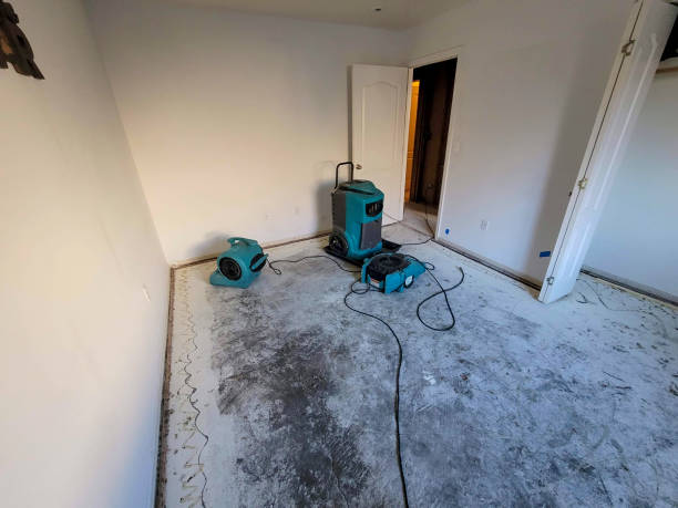 Best Flooded house restoration  in Yreka, CA