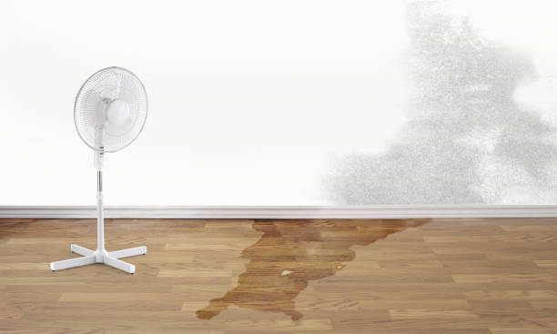 Fire Damage Restoration in CA