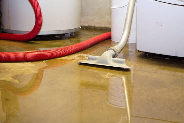 Best Mold removal after water damage  in Yreka, CA