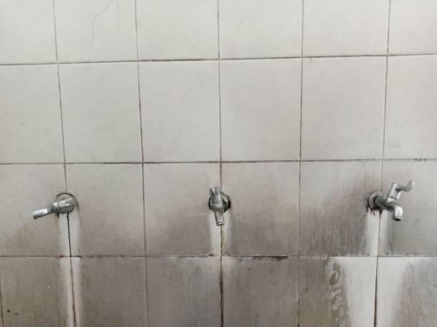 Best Water damage contractors near me  in Yreka, CA