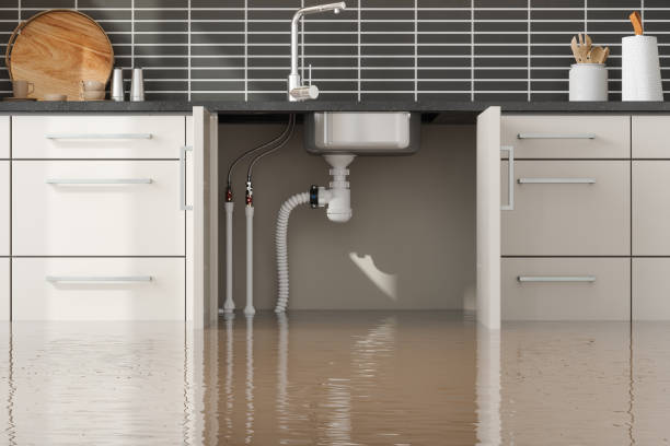 Best Water damage restoration services  in Yreka, CA