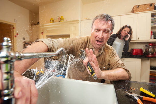 Best Mold removal after water damage  in Yreka, CA